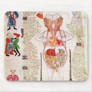 Mousepad Diagrama anatômico