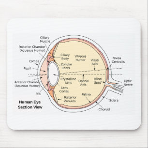 Mousepad Diagrama anatômico da bola do olho humano do