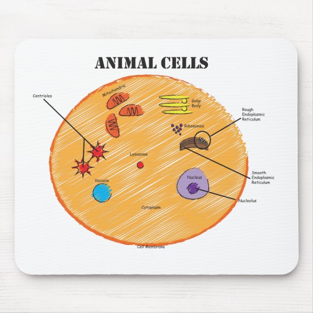 Mousepad Diagrama animal da pilha (Frente)
