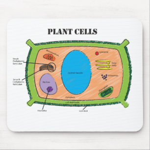 Mousepad Diagrama da pilha da planta