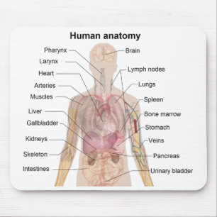 Mousepad Diagrama da sombra da anatomia humana