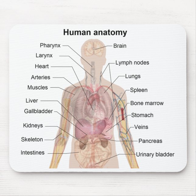 Mousepad Diagrama da sombra da anatomia humana (Frente)