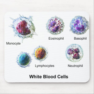Mousepad Diagrama das células brancas do sangue do rato