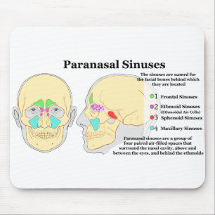 Mousepad Diagrama de cavidades de Paranasal humanas