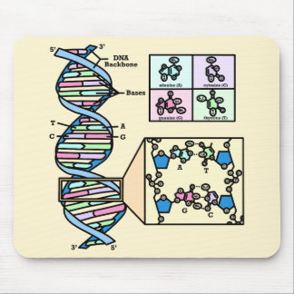 Mousepad Diagrama de DNA