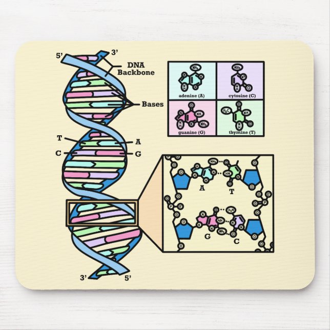 Mousepad Diagrama de DNA (Frente)