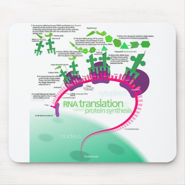 Mousepad Diagrama de Síntese de Proteínas da tradução de RN (Frente)