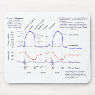 Mousepad Diagrama de Wiggers