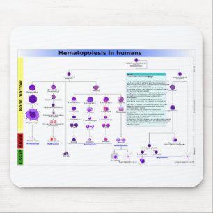 Mousepad Diagrama Hematopoiese em Células-tronco Humanas