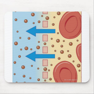 Mousepad Diálise do rim