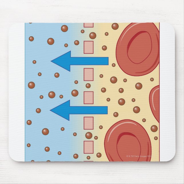 Mousepad Diálise renal (Frente)