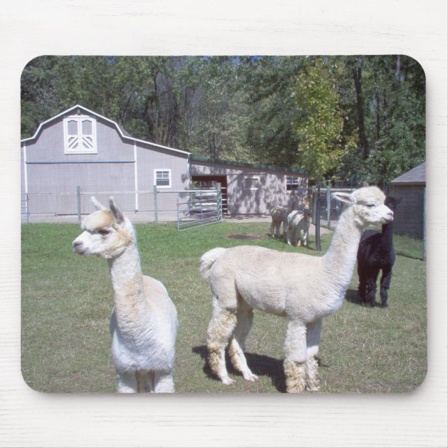 Mousepad Dias da alpaca (Frente)