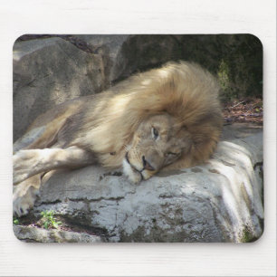 Mousepad Dias preguiçosos