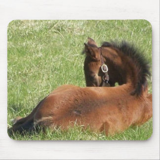 Mousepad Dias preguiçosos