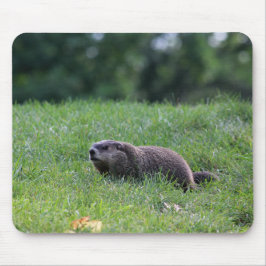 Mousepad Digger de Buraco do Diabo