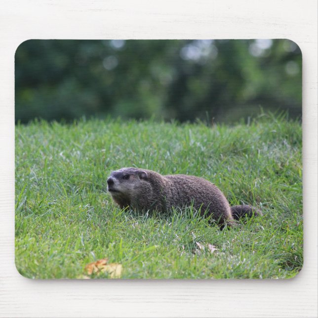 Mousepad Digger de Buraco do Diabo (Frente)