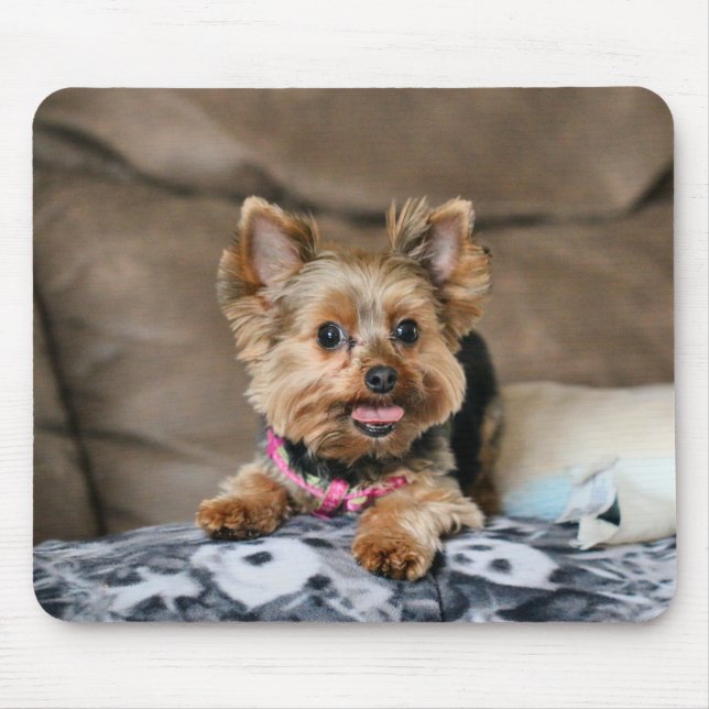 Mousepad Dinâmico pequeno (Frente)