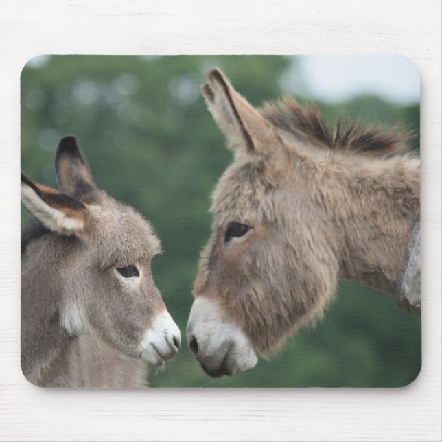 Mousepad Dinky Donkey (Frente)