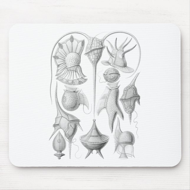 Mousepad Dinoflagellates (Frente)