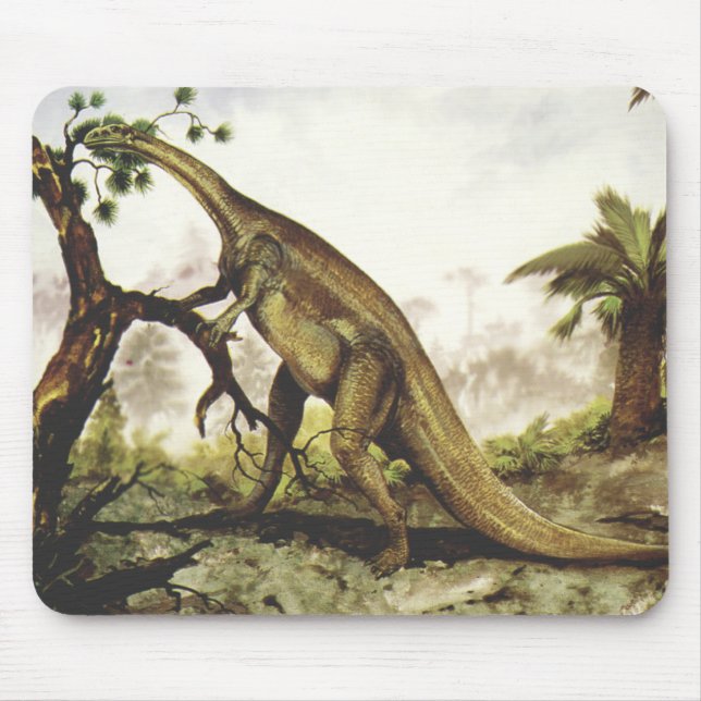 Mousepad Dinossauros Antigos, Plateossauro Pastando em Árvo (Frente)