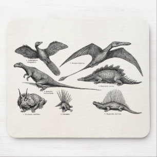 Mousepad Dinossauros retros da ilustração do dinossauro d