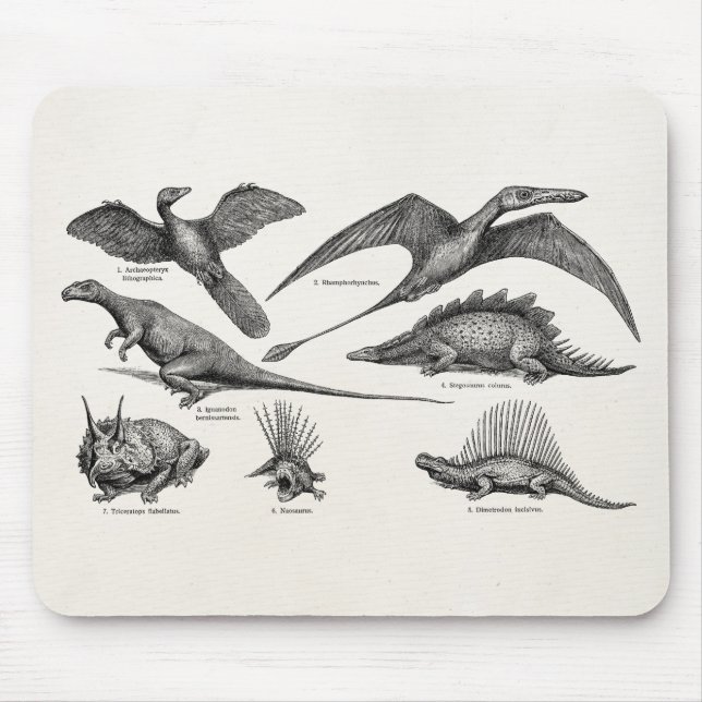 Mousepad Dinossauros retros da ilustração do dinossauro do (Frente)
