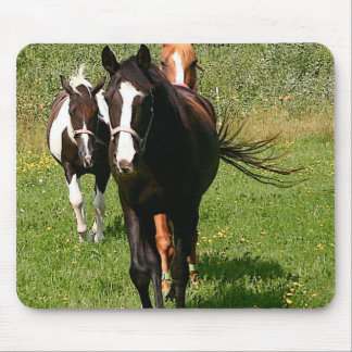 Mousepad Dirigindo em casa o tapete do rato