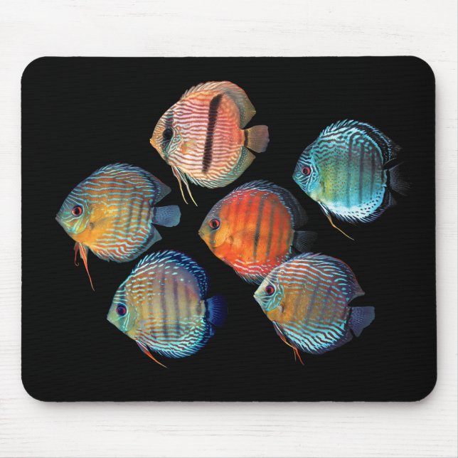 Mousepad Disco Selvagem (Frente)