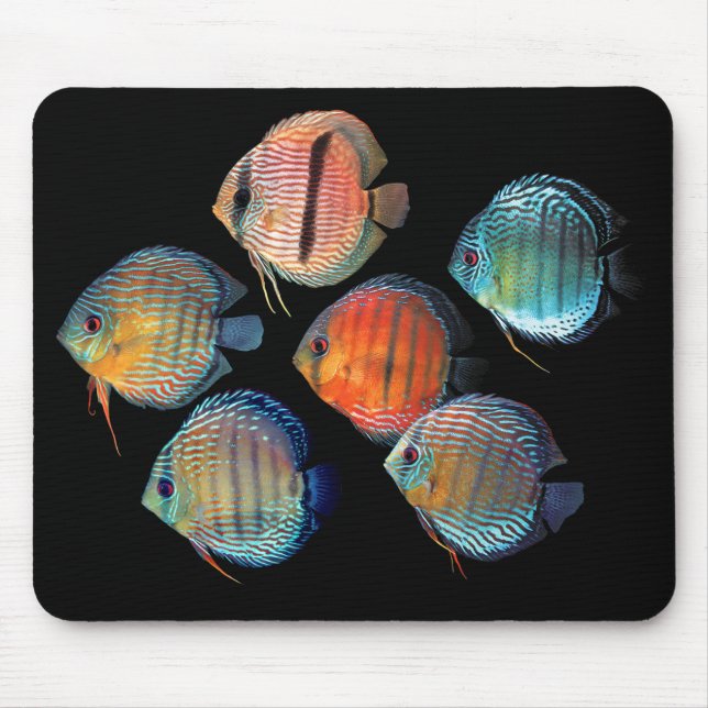 Mousepad Disco Selvagem (Frente)