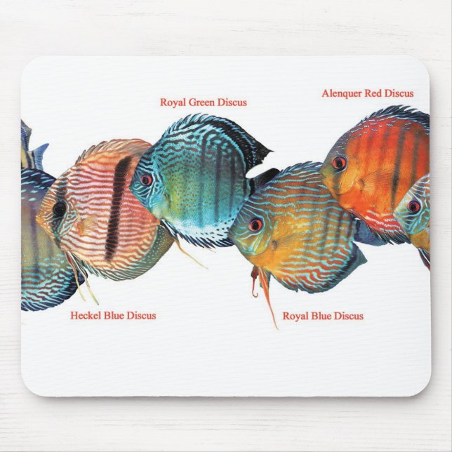 Mousepad Discussão Selvagemの マ ウ ス  ド (Frente)