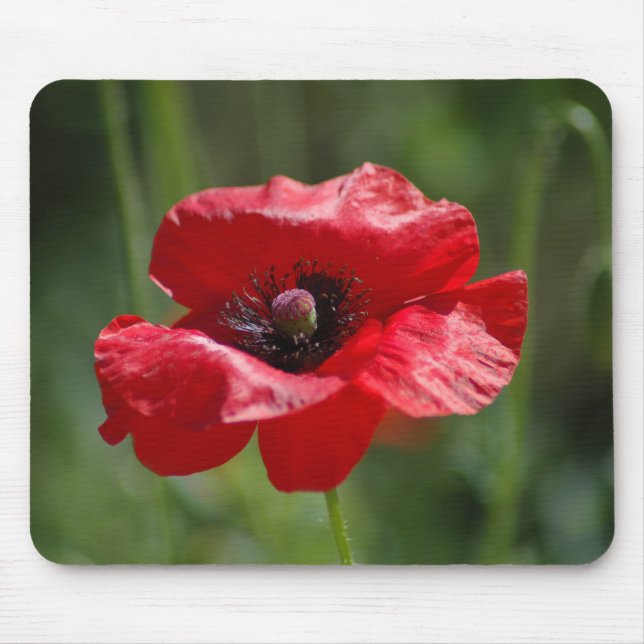 Mousepad disquete vermelho solteiro (Frente)
