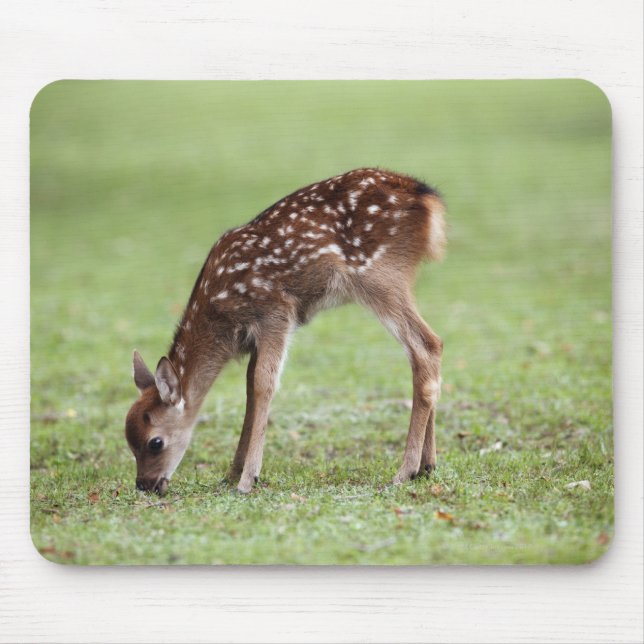 Mousepad Distrito de Nara, Honshu, Japão (Frente)