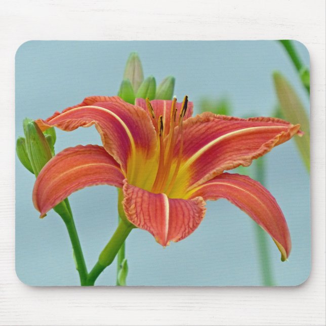 Mousepad Ditch Lily (Frente)