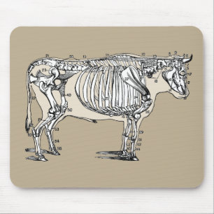 Mousepad Diversão Antiguada Do Esqueleto De Vaca