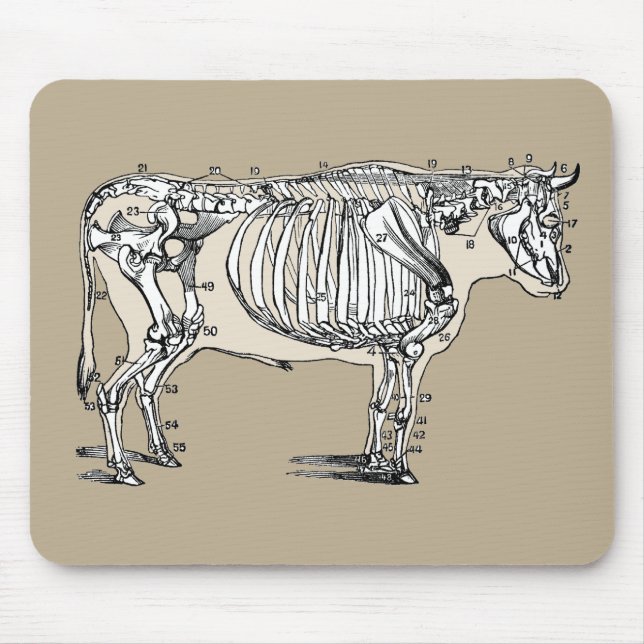 Mousepad Diversão Antiguada Do Esqueleto De Vaca (Frente)