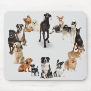Mousepad Diversão De Cães Animais De Pet Nome Personaliza