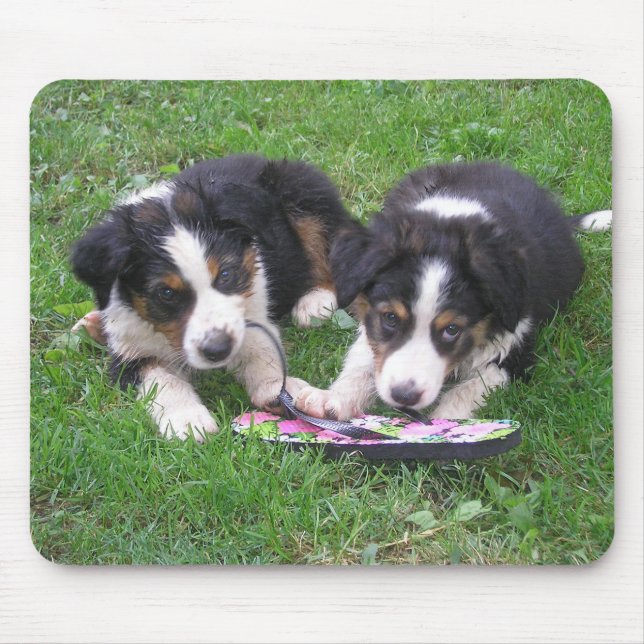 Mousepad Diversão do sacudir Flop! (Frente)