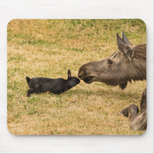 Mousepad Diversidade