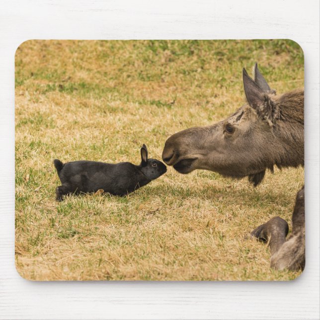 Mousepad Diversidade (Frente)