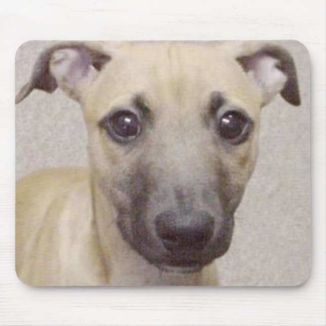 Mousepad Divo (Frente)