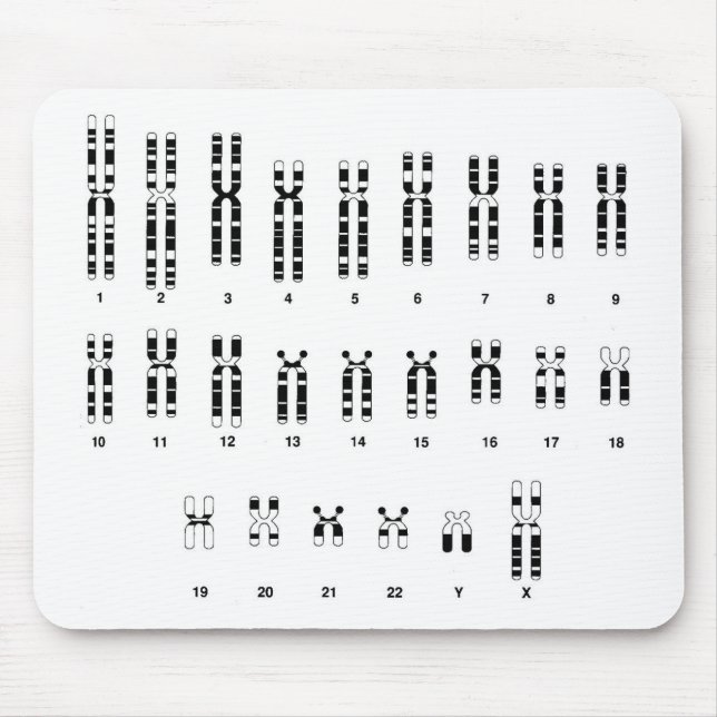 Mousepad do ADN (Frente)