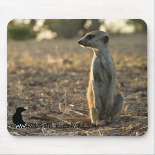 Mousepad do aniversário de Zaphod 12o