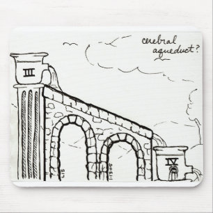 Mousepad do aqueduto cerebral