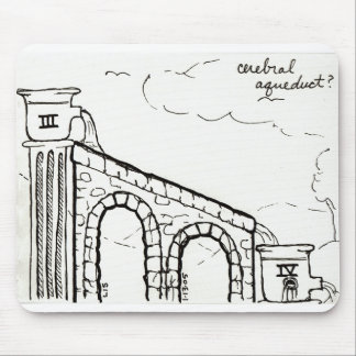 Mousepad do aqueduto cerebral
