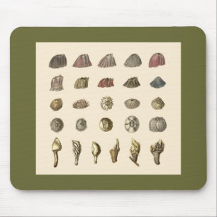 Mousepad do Barnacle
