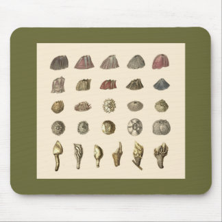 Mousepad do Barnacle