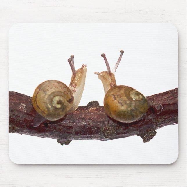 Mousepad do Bebê Caracol (Frente)