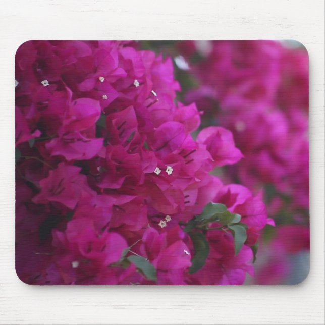 mousepad do bougainvillea (Frente)