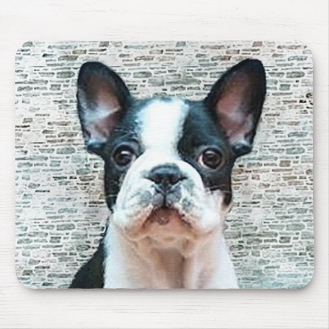 Mousepad do buldogue francês (Frente)