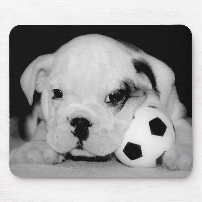 Mousepad Do "buldogue inglês do filhote de cachorro (Frente)